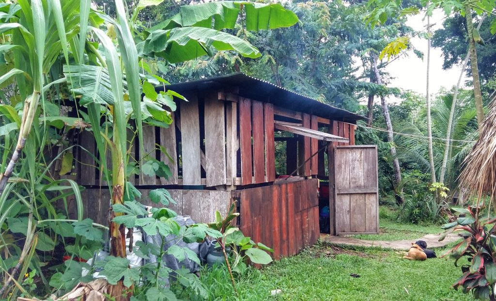 Taste Belize Food Tours