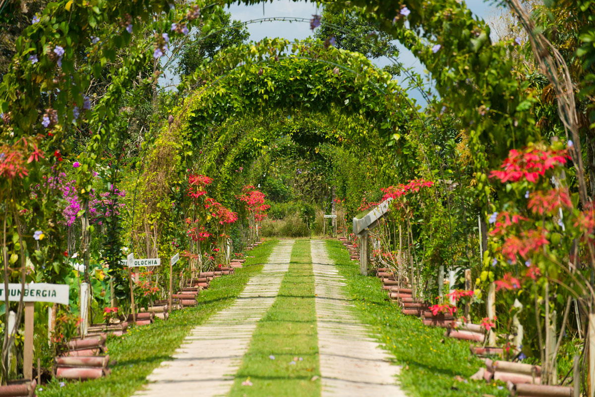 Belize Spice Farm & Botanical Gardens